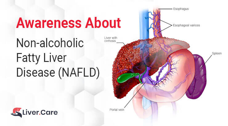 Know your liver